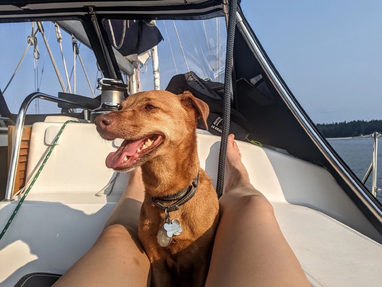 Sailing with Maui in Puget Sound