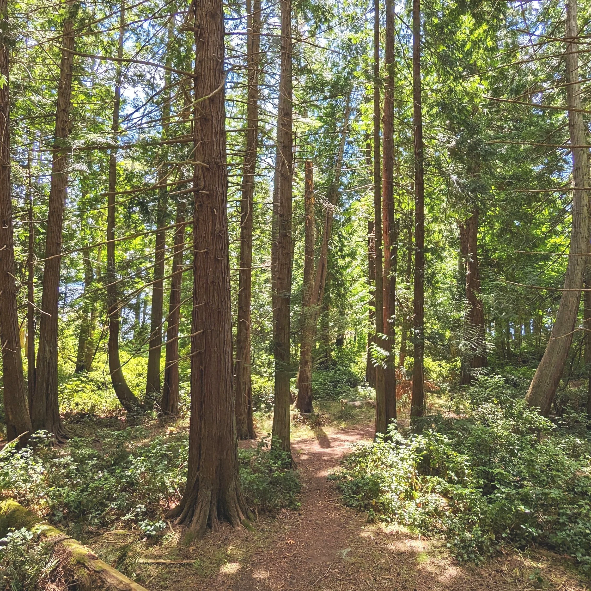 The hike to Mt. Norman in Beaumont Marine Park