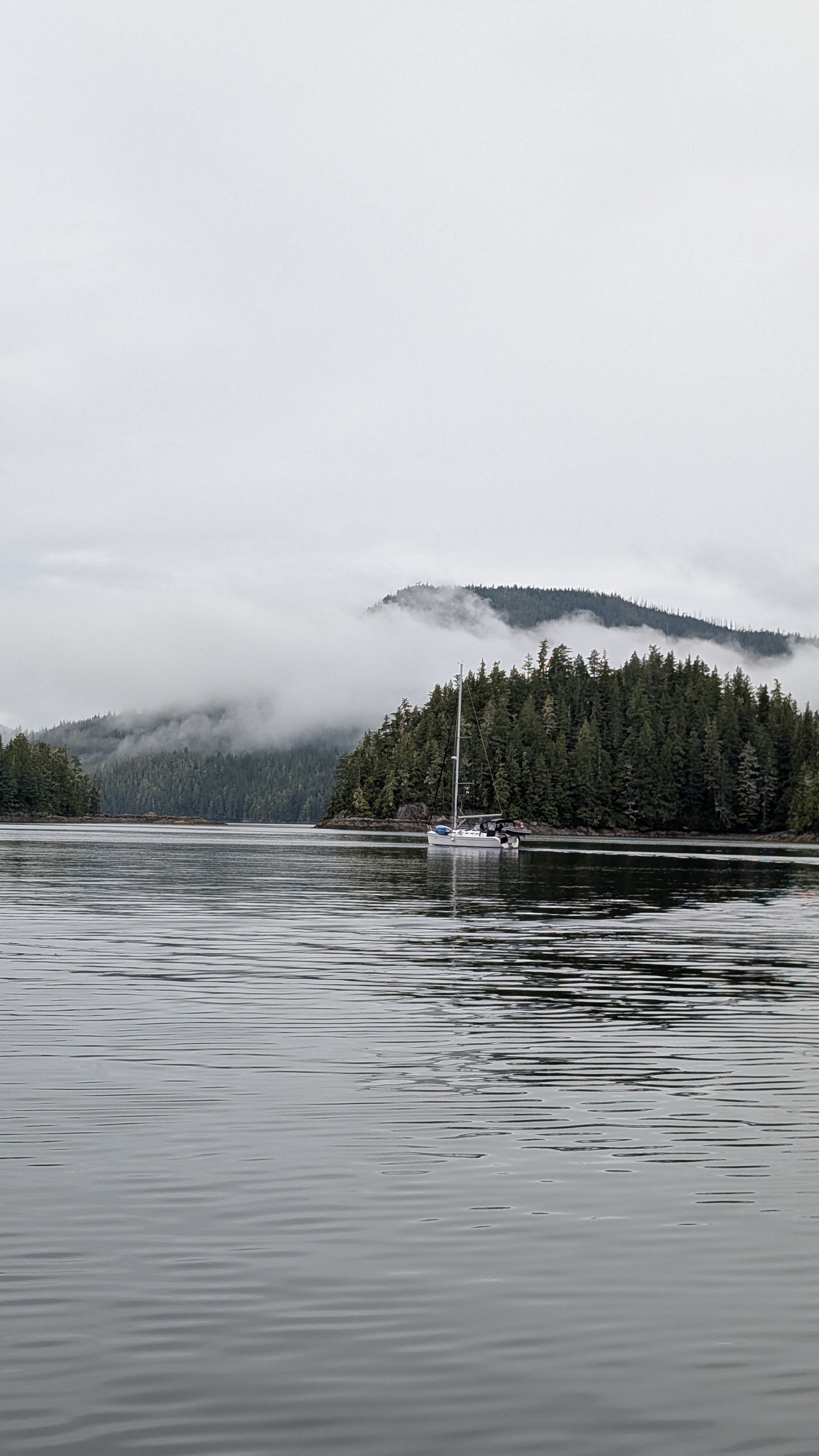 A sailboat anchored in a misty bay with cloud-covered mountains in the Broughtons