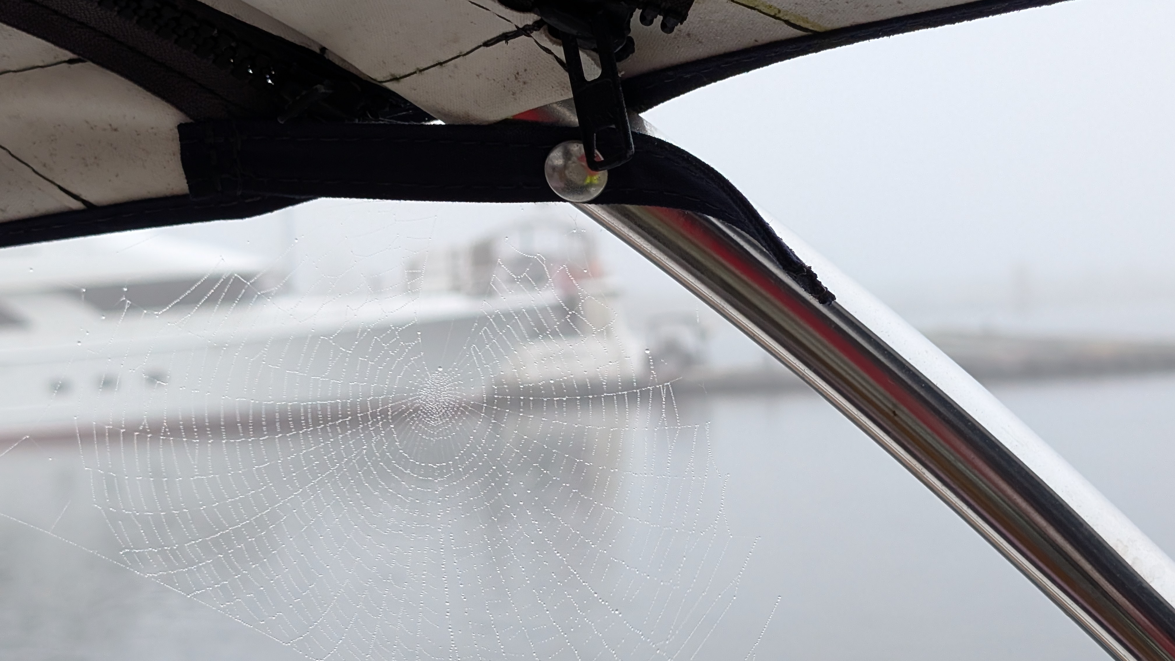 Dew-covered spider web glistening on the bimini frame in the morning fog