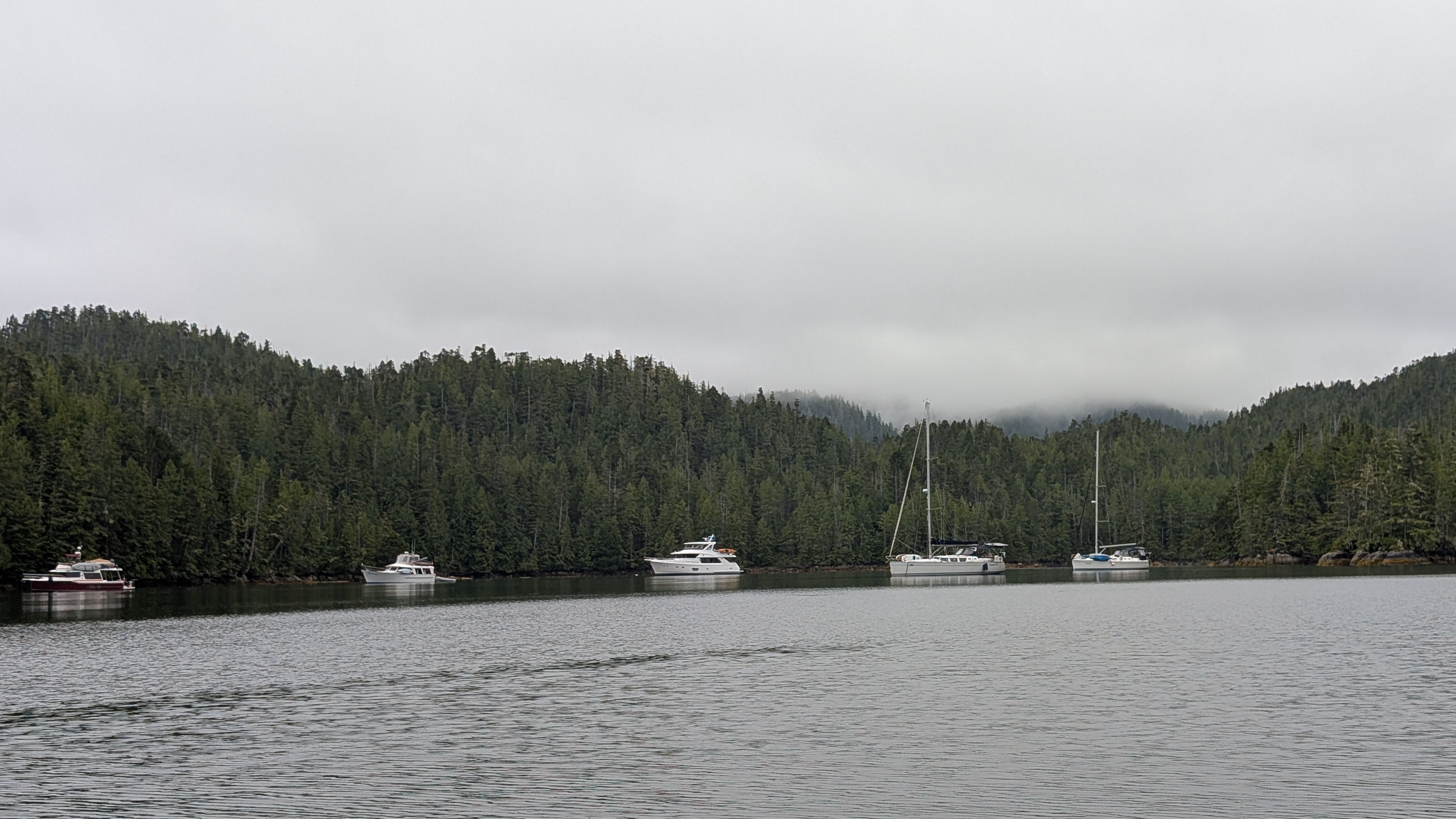 Several boats anchored in Rock Inlet surrounded by dense forest on an overcast day
