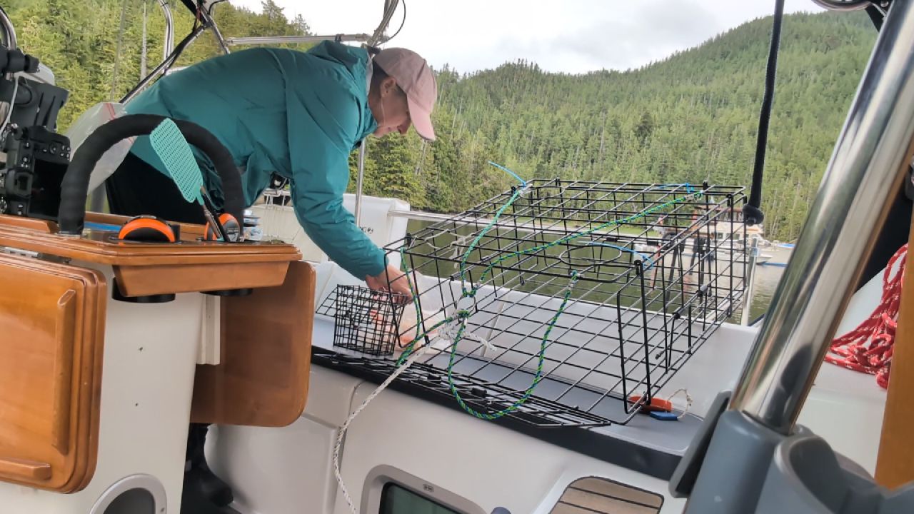 Rachel preparing the crab trap on deck at Codville Lagoon anchorage