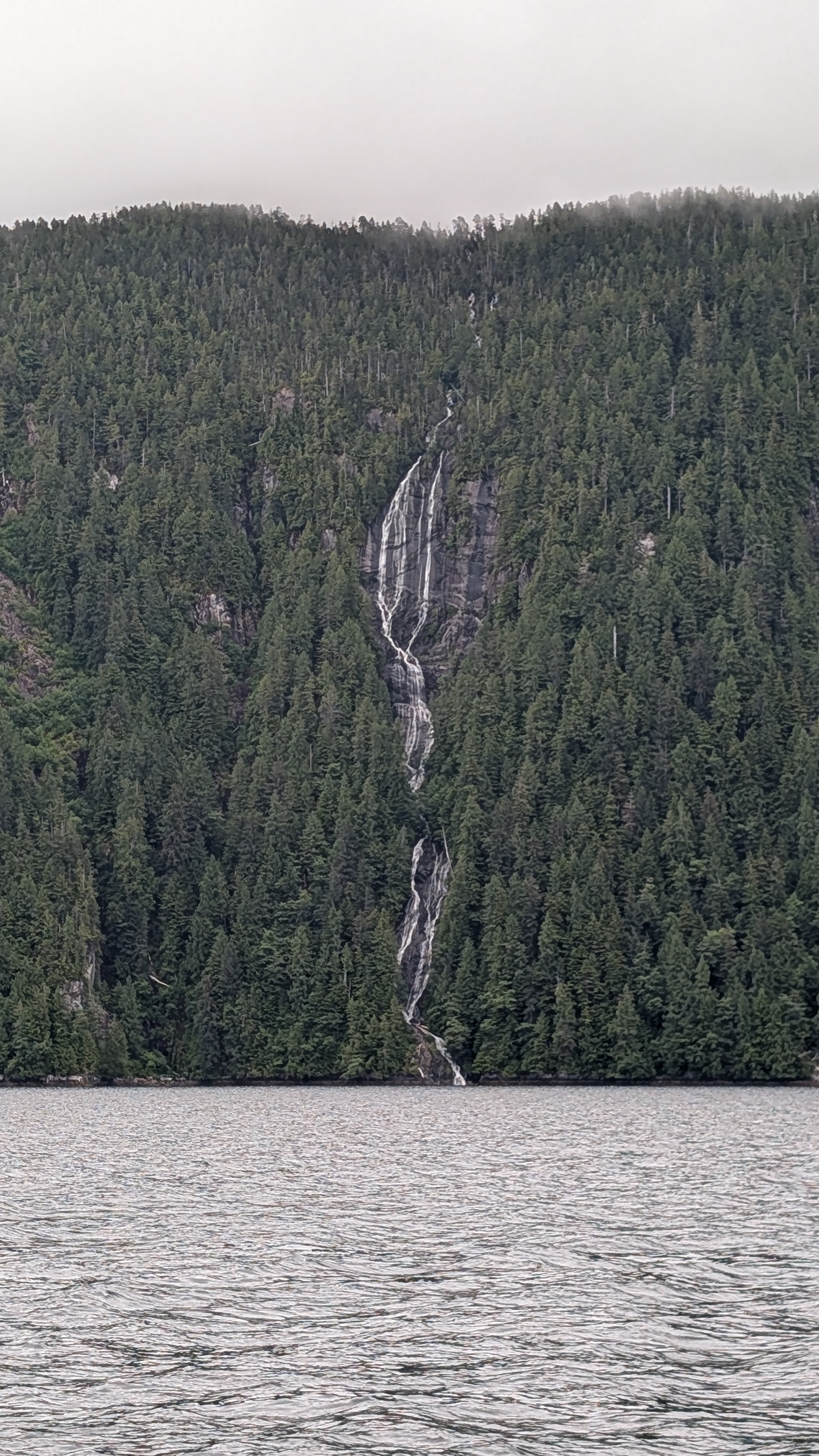 Tall waterfall streaming through dense evergreen forest along Mathison Channel