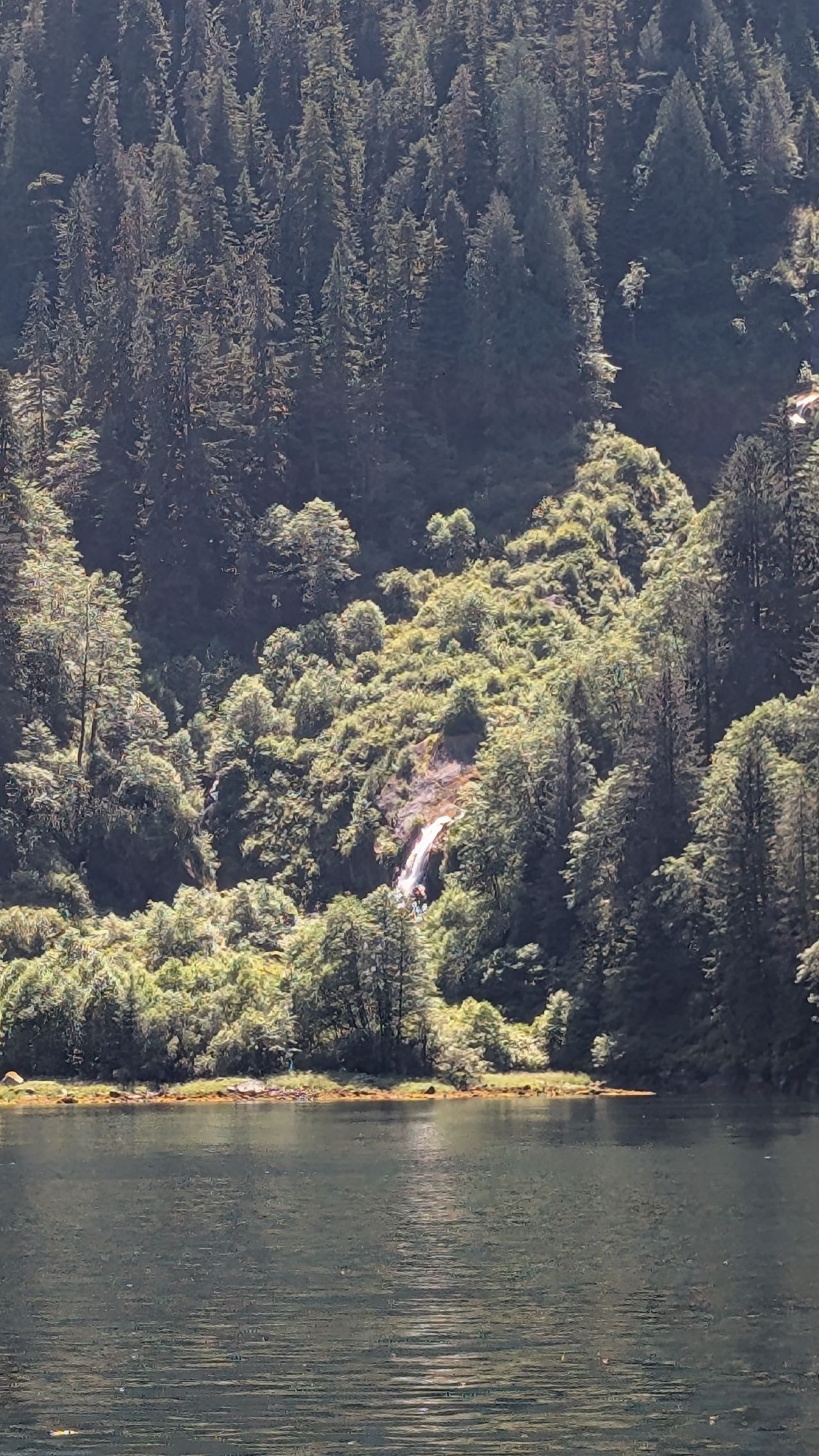 Waterfall cascading through sunlit forest into the water at Khuntz Bay