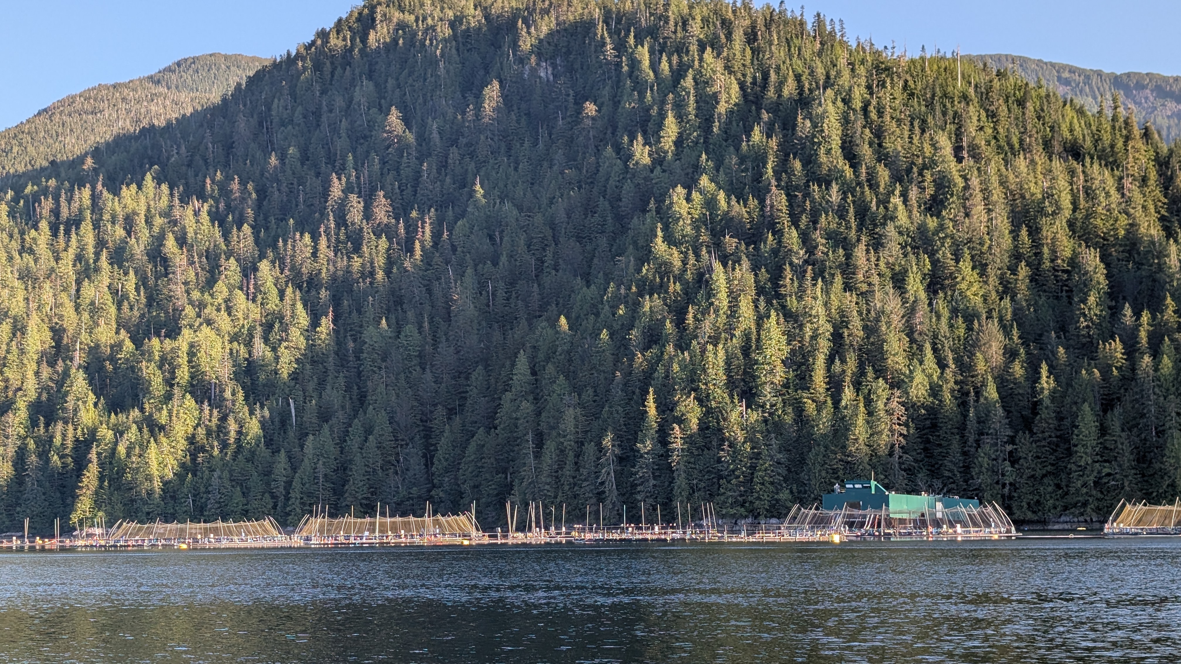 Fish farm net pens along the forested mountainside in the channel