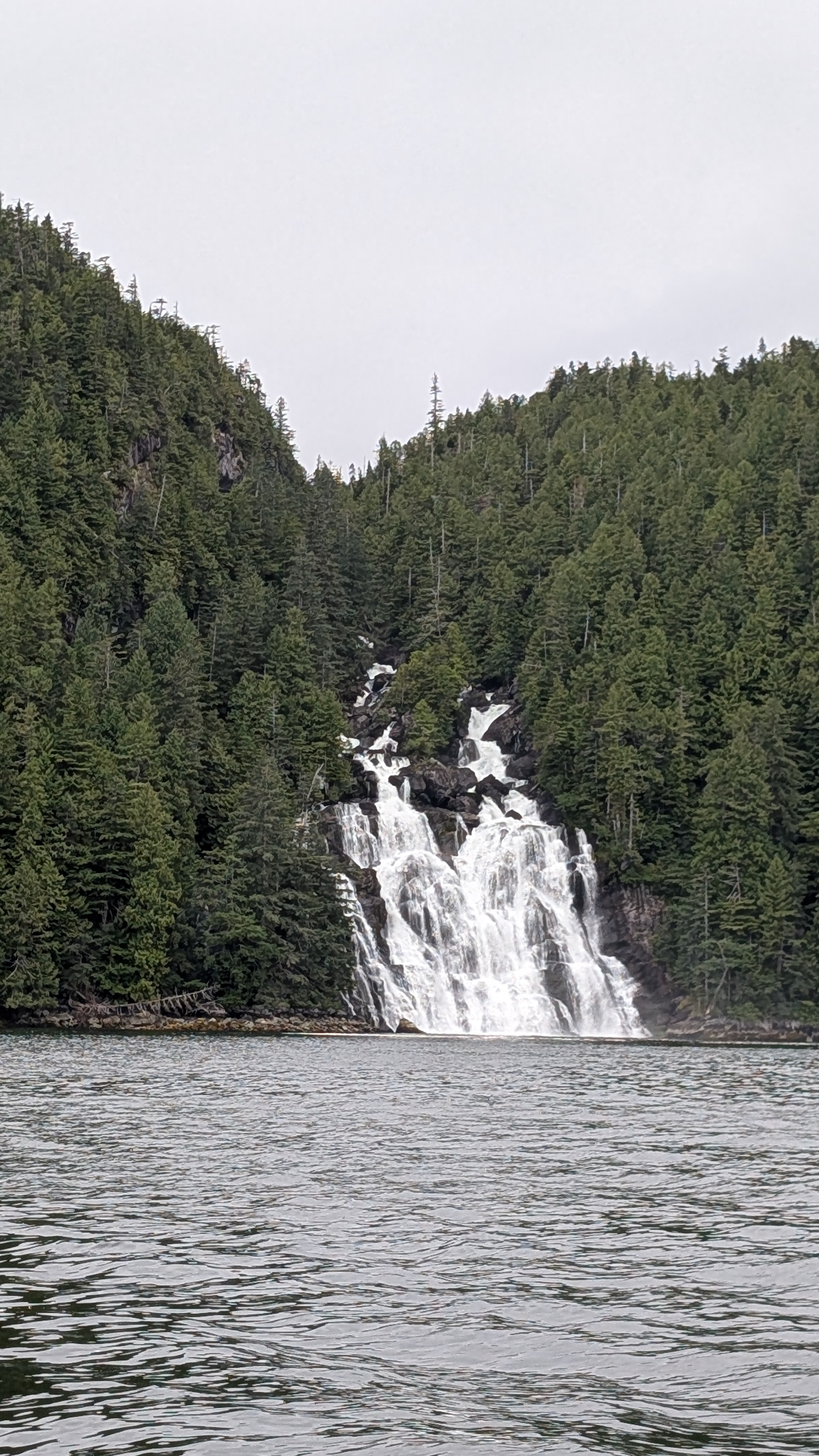 Epic waterfall cascading over rocks and flowing into the cove surrounded by dense forest