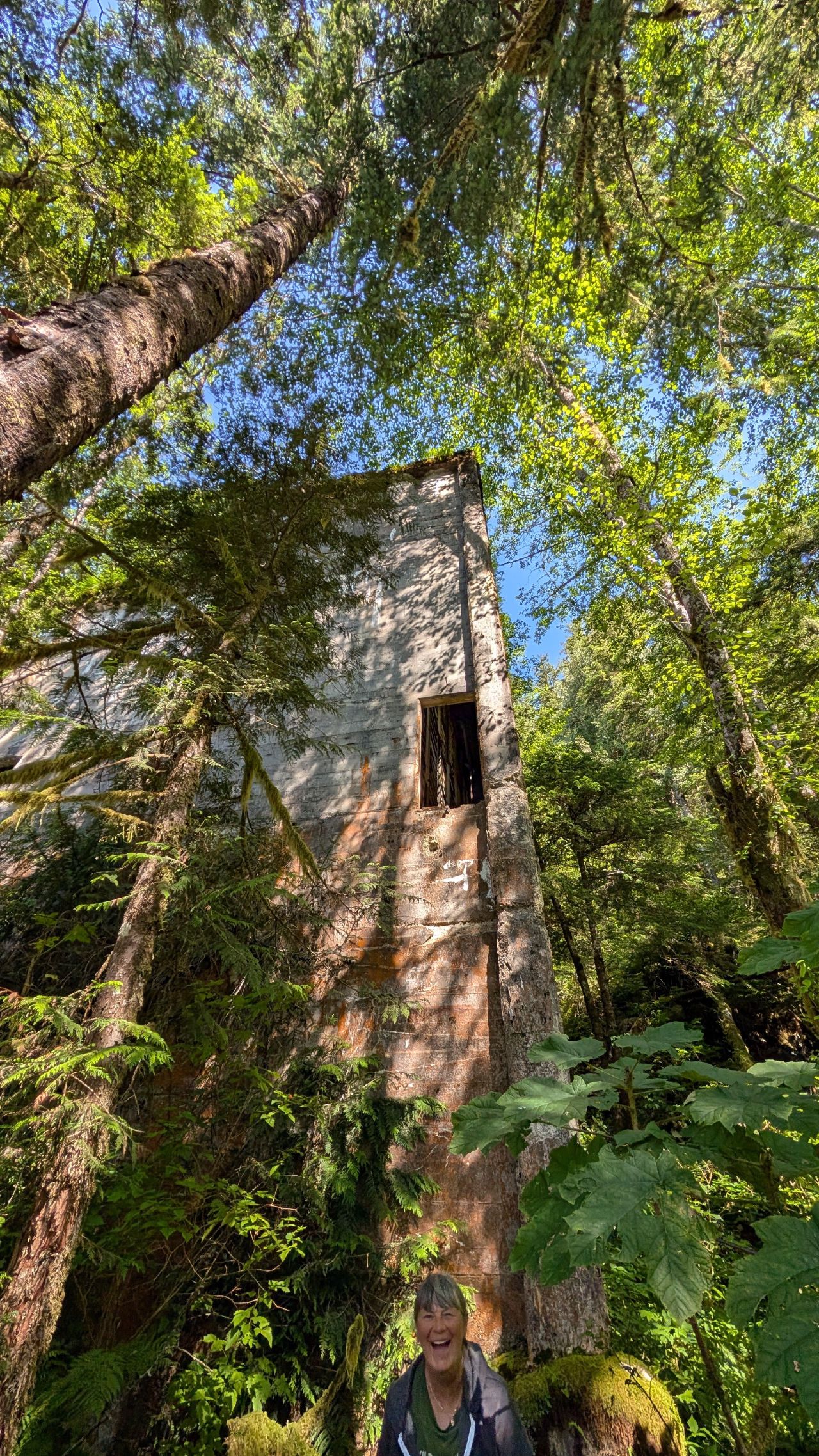 Tall concrete ruins of the old pulp mill tower being reclaimed by the forest at Swanson Bay