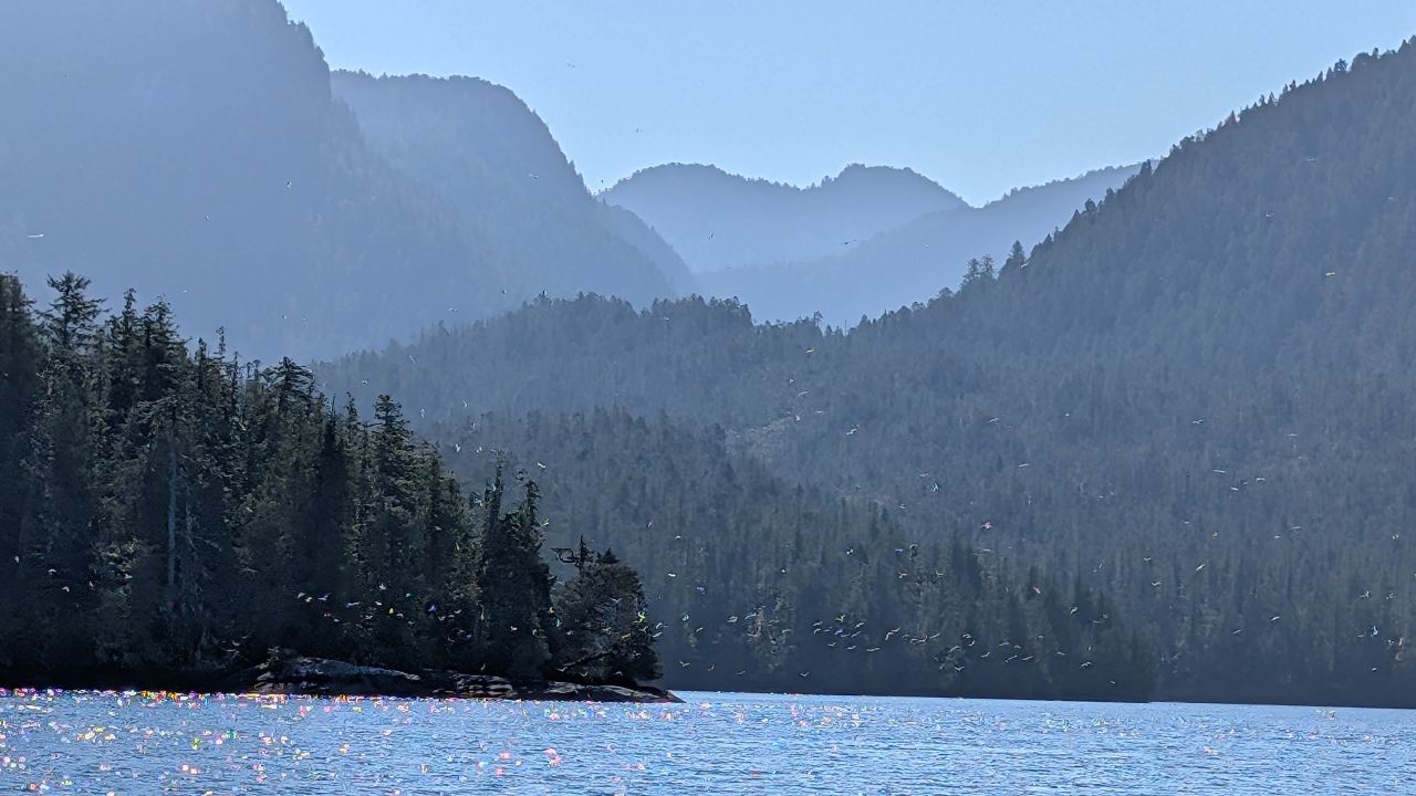Hazy layered mountains with birds flying over the water at Barnard Harbour