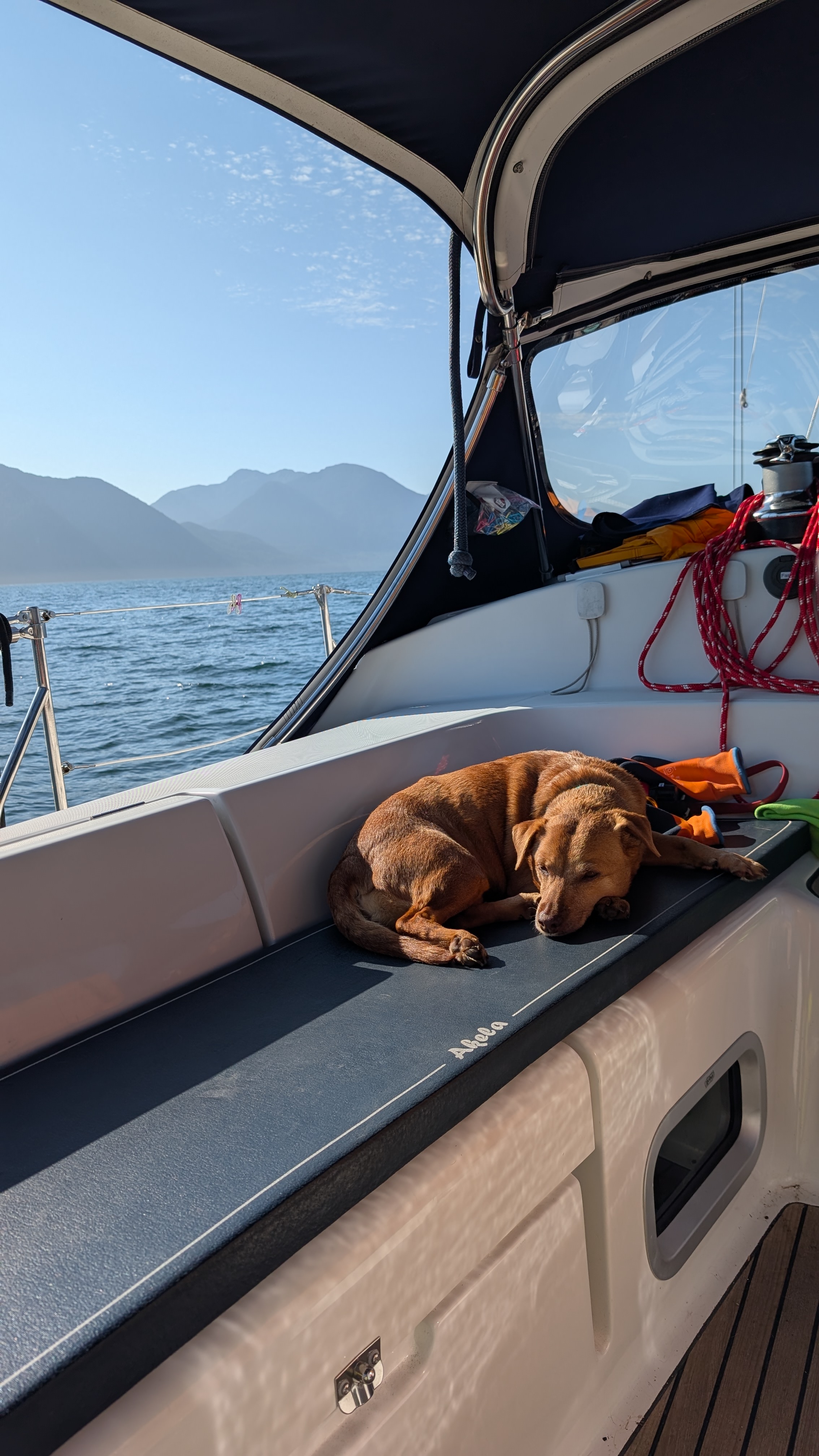 Maui curled up napping on the cockpit cushion with mountains visible through the bimini