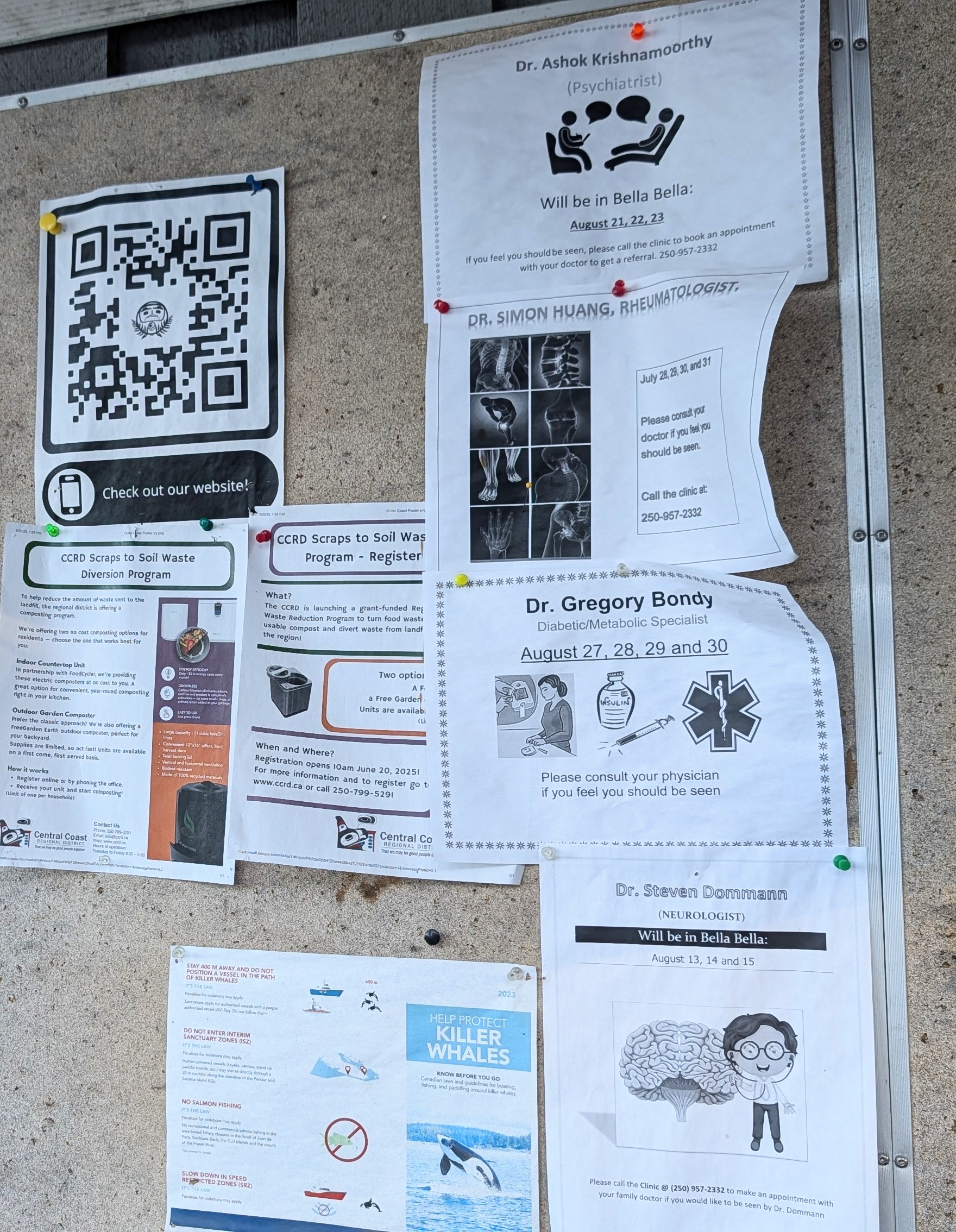 Community bulletin board outside the Shearwater grocery store with flyers for visiting doctors