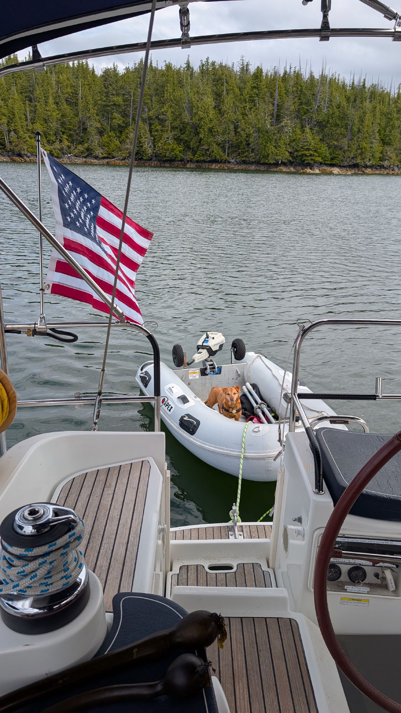 Maui sitting in the dinghy tied to the stern of SV Yahara with the American flag flying at Fury Cove