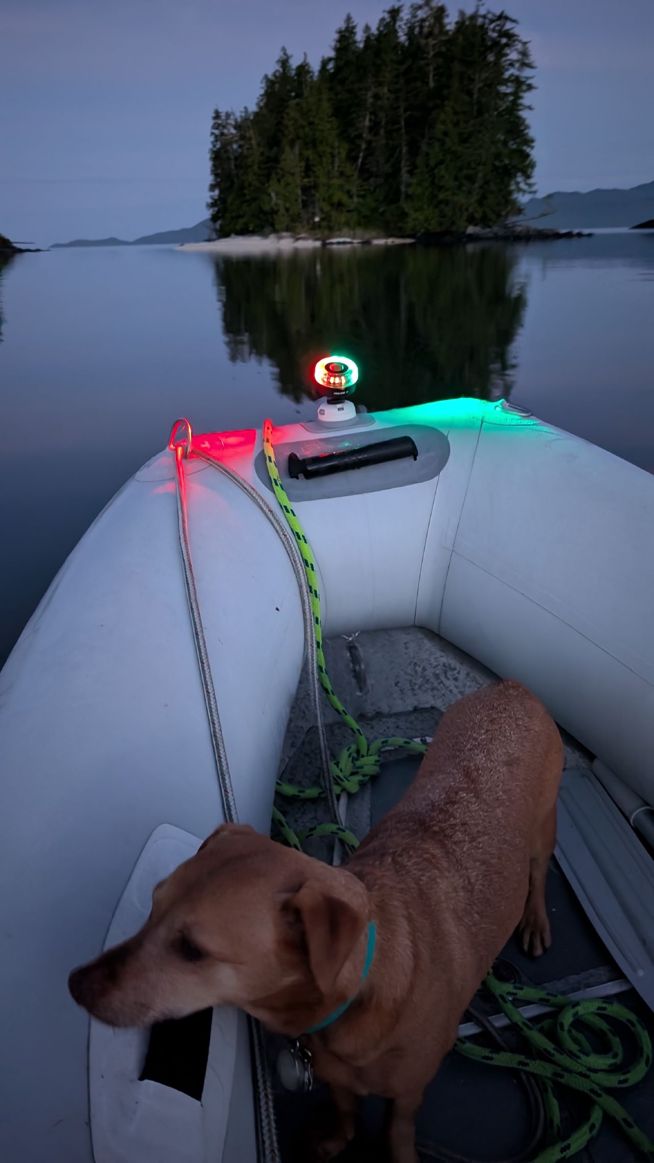 Maui in the dinghy with navigation lights glowing red and green during a predawn shore trip at Fury Cove