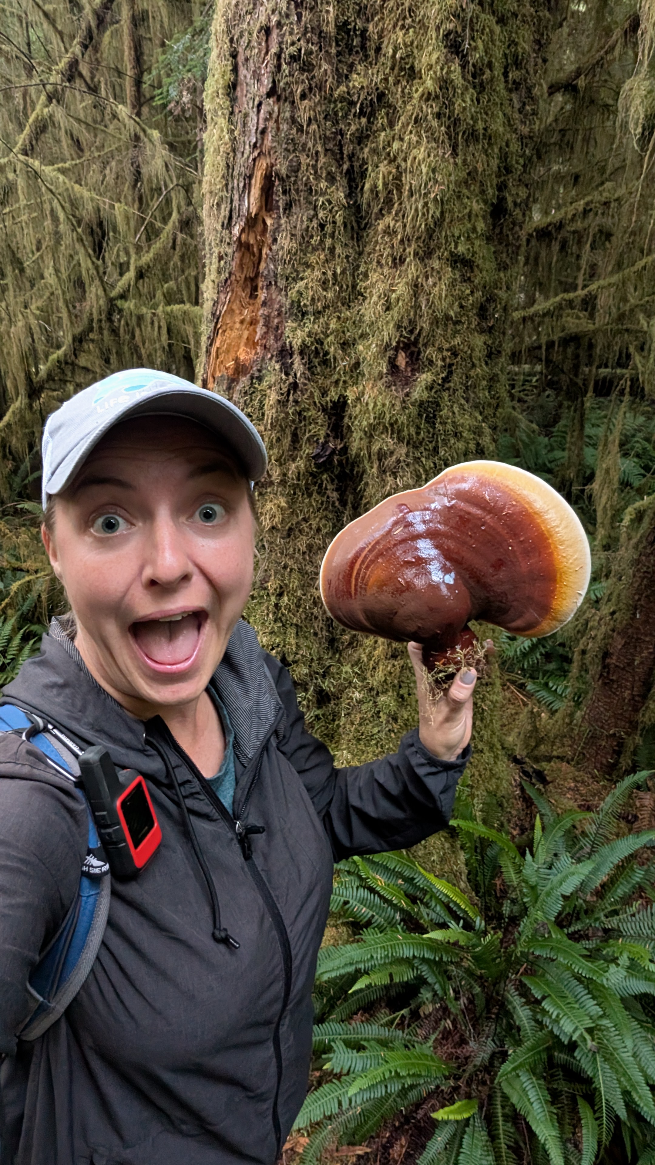 Rachel with an excited expression holding a large reishi mushroom she found while hiking in a mossy BC rainforest