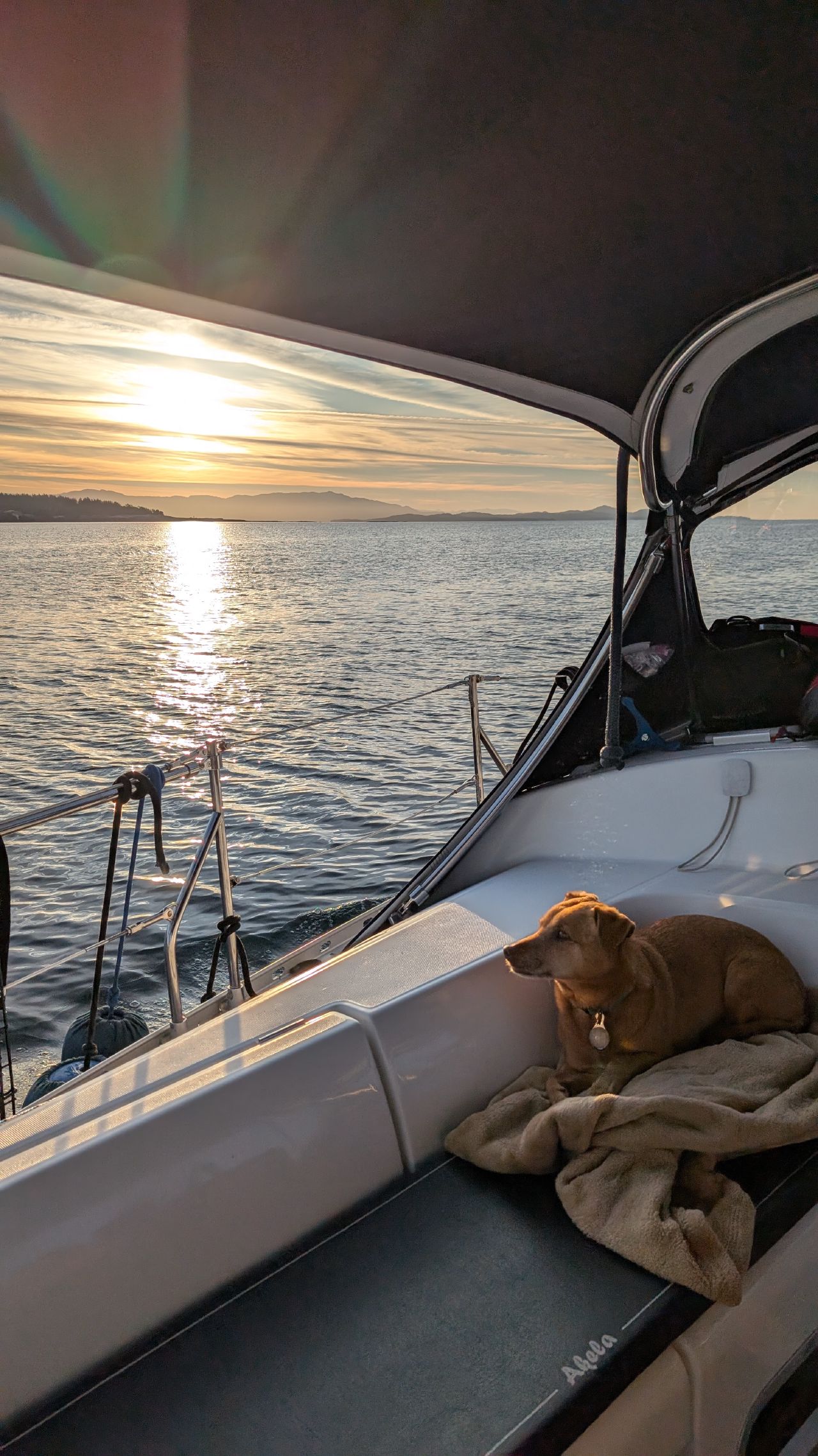 Maui curled up on a blanket in the cockpit as the sun rises over calm water during an early morning departure across the Strait of Georgia