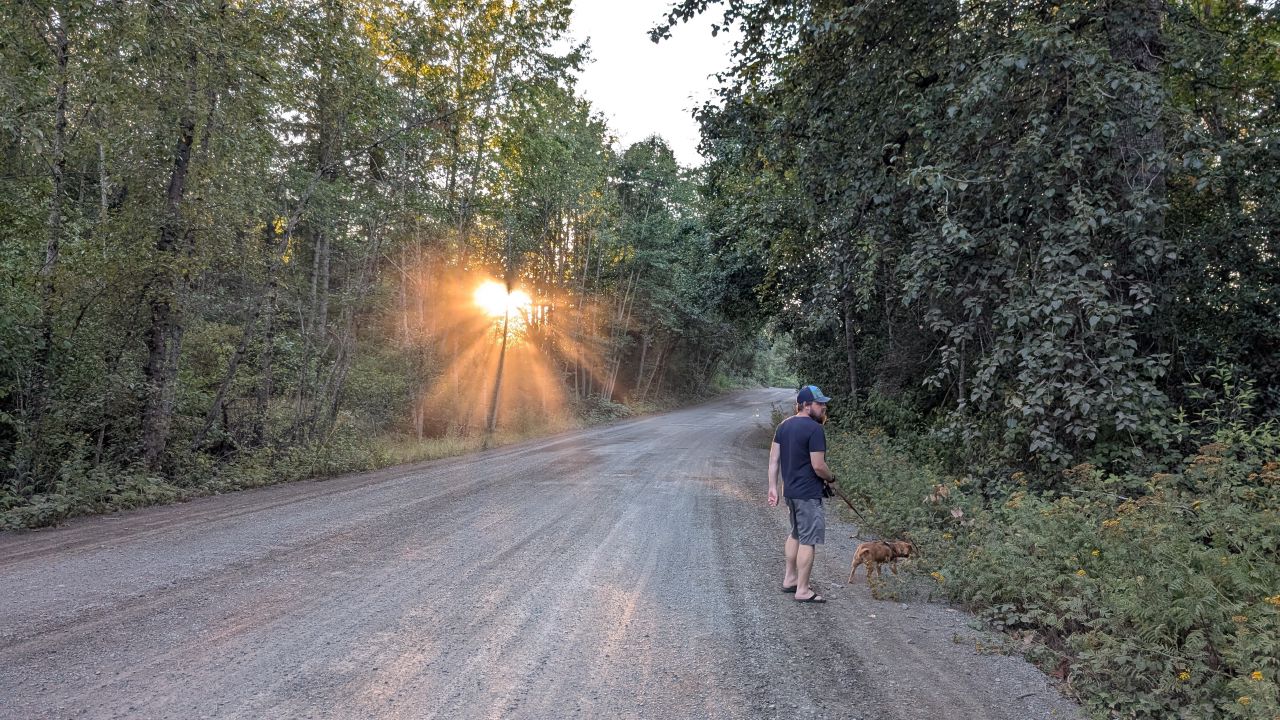 Brian walking Maui the dog down a gravel road lined with trees as the sun sets through the mist